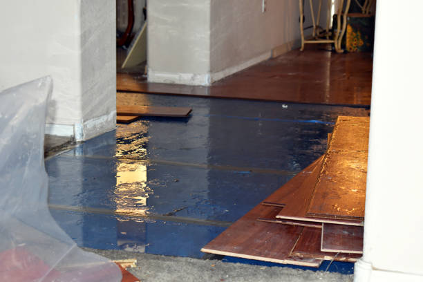 Professional Sewage Cleanup technician working in Hinckley, IL